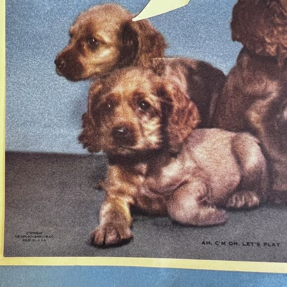 1947 Chrustnas Card Spaniel Puppies Dogs, Calendar Inside Ephemeral Pennsylvania - Picture 4 of 11